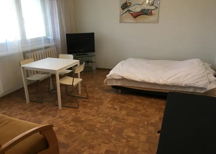 Budget Mieszkanie לודז'